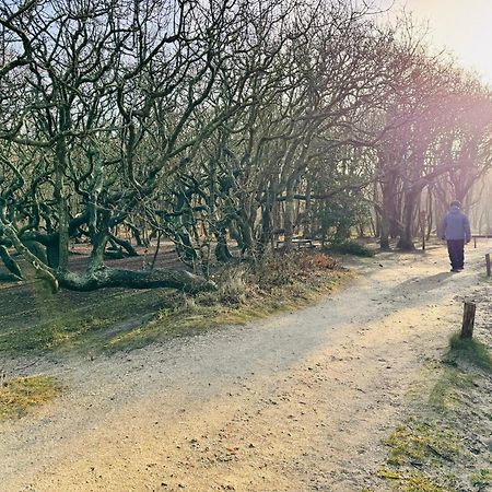 Beach & Forest Retreat -Domburg- 东卡佩勒 外观 照片