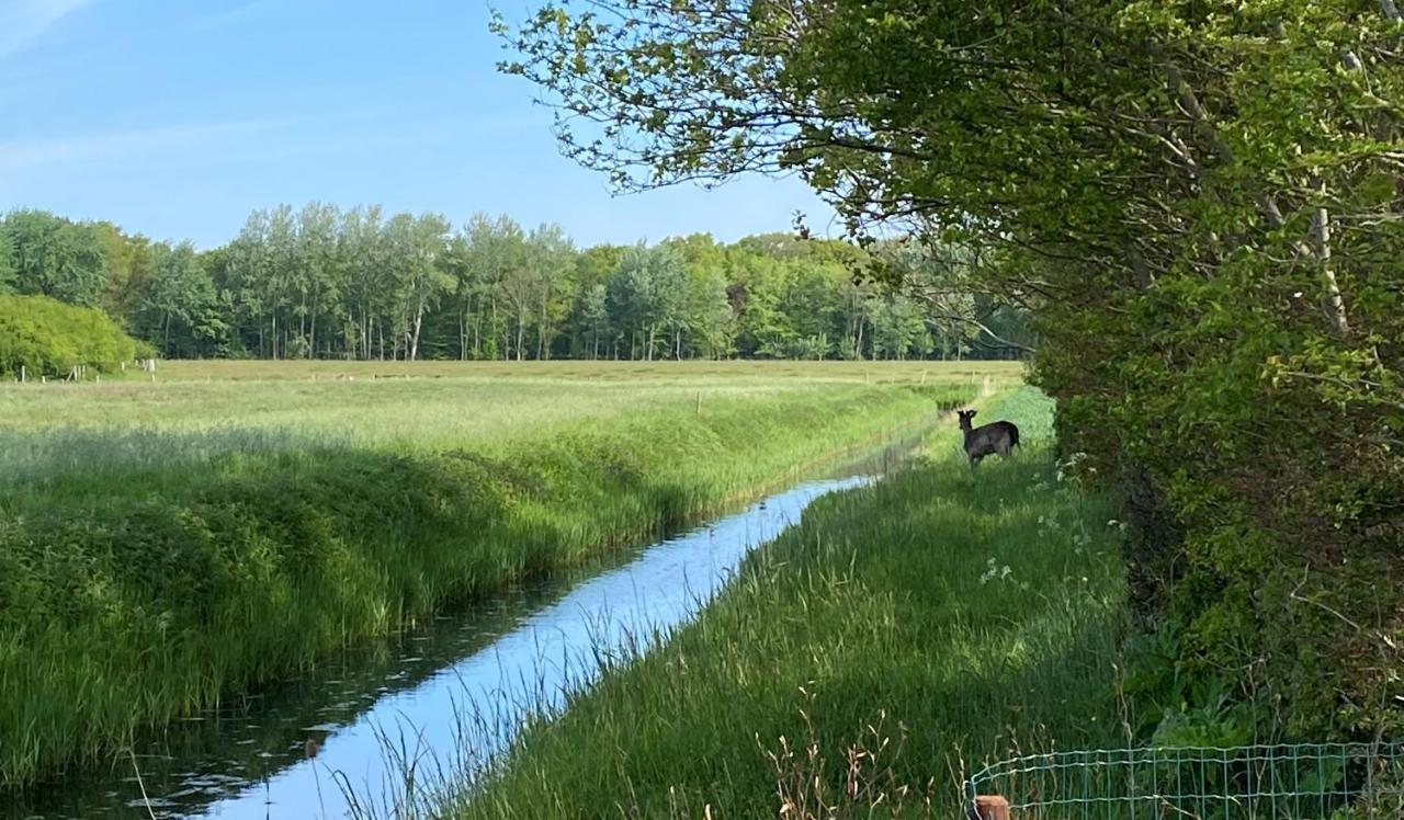 Beach & Forest Retreat -Domburg- 东卡佩勒 外观 照片