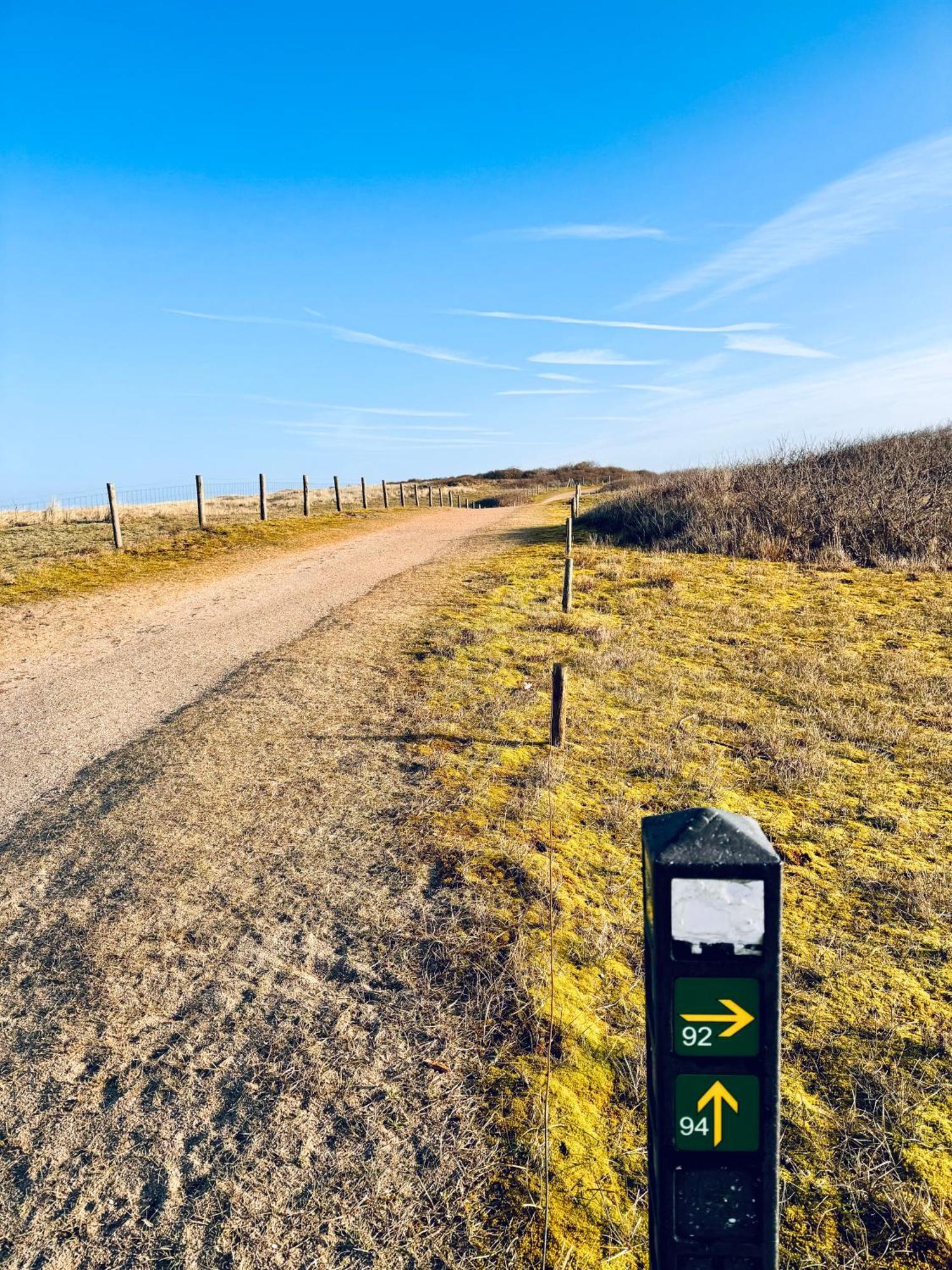 Beach & Forest Retreat -Domburg- 东卡佩勒 外观 照片