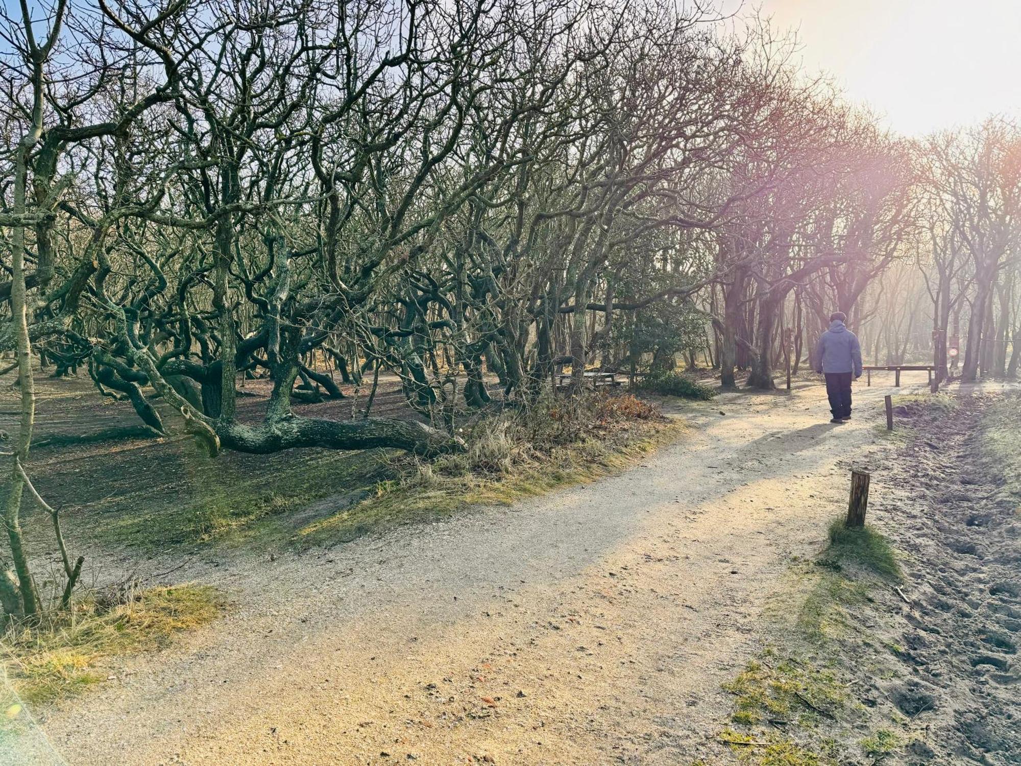 Beach & Forest Retreat -Domburg- 东卡佩勒 外观 照片