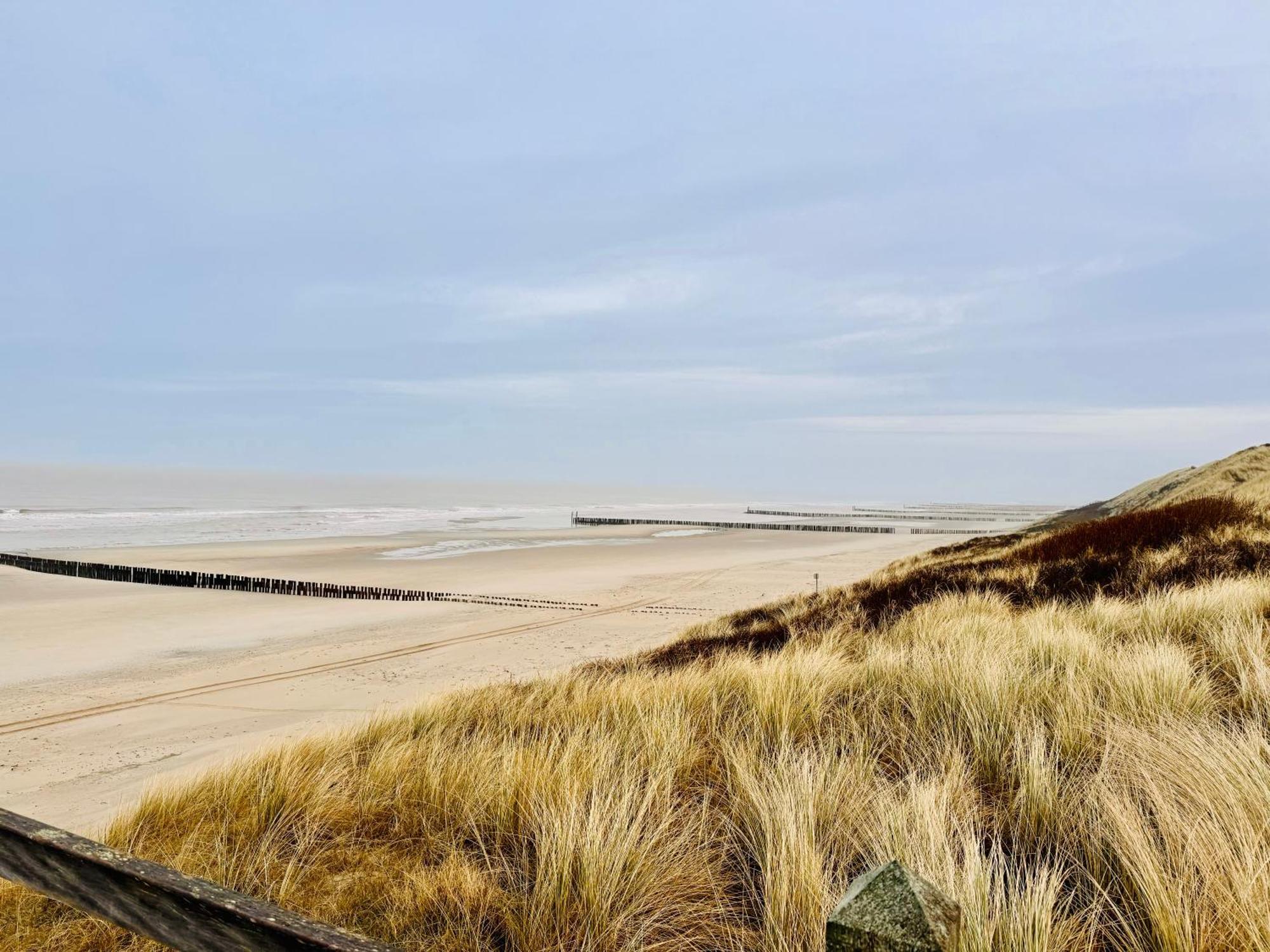Beach & Forest Retreat -Domburg- 东卡佩勒 外观 照片