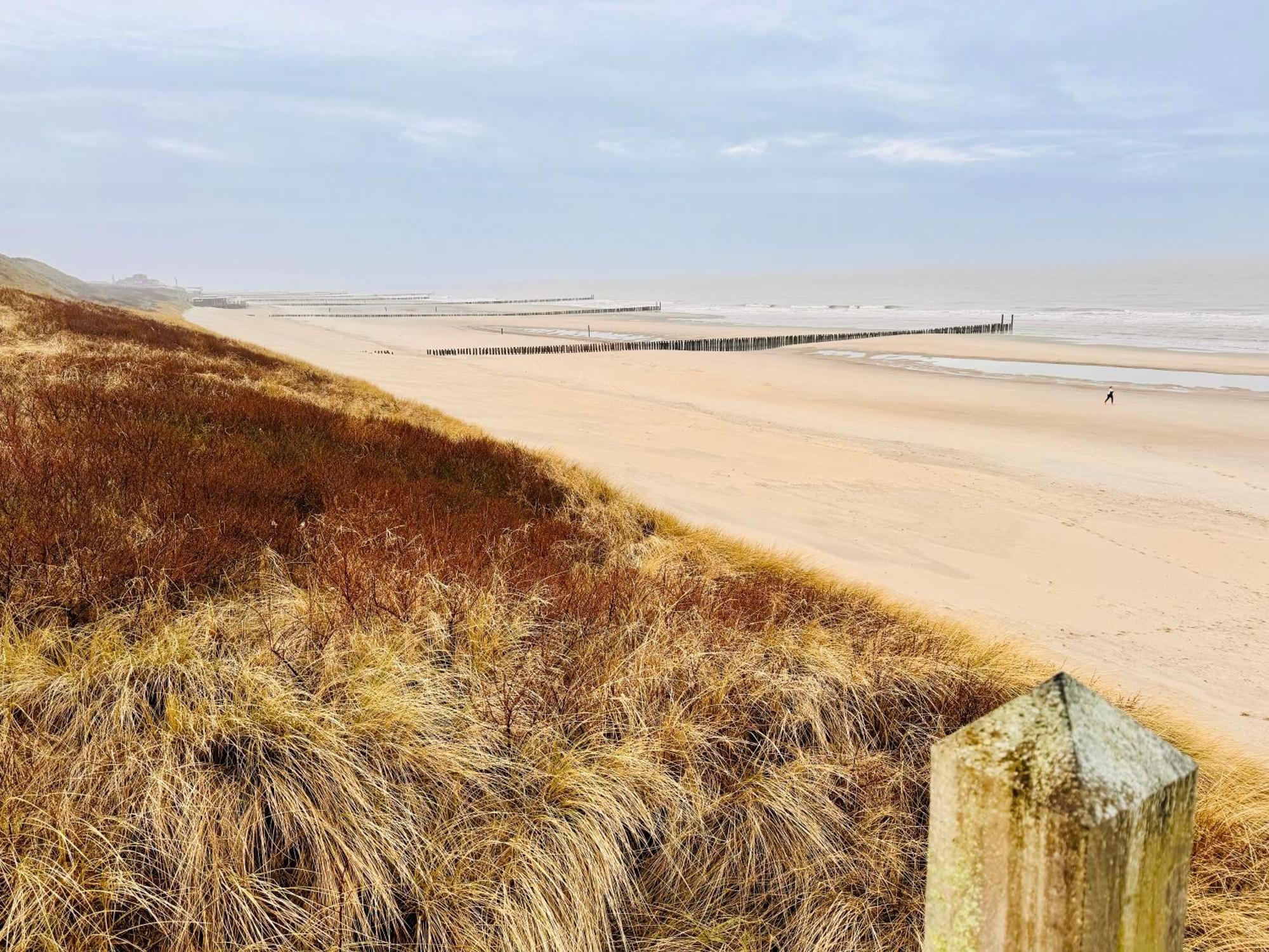 Beach & Forest Retreat -Domburg- 东卡佩勒 外观 照片