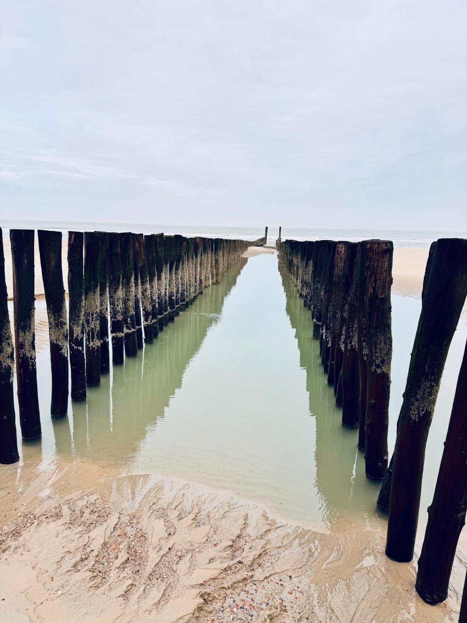 Beach & Forest Retreat -Domburg- 东卡佩勒 外观 照片