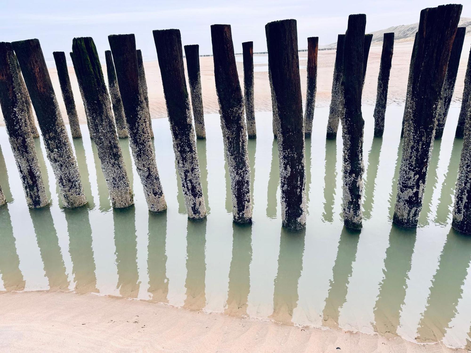 Beach & Forest Retreat -Domburg- 东卡佩勒 外观 照片