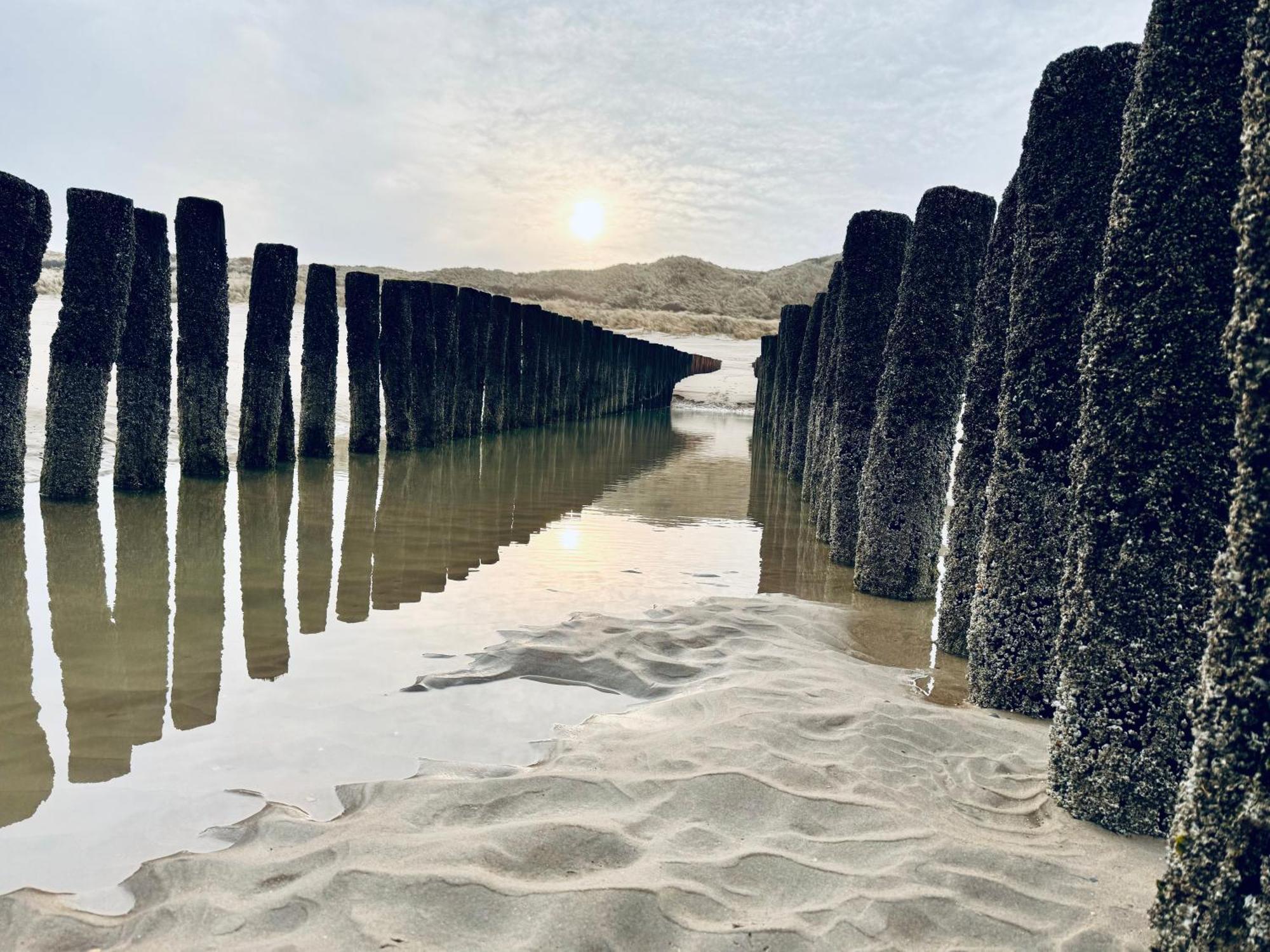 Beach & Forest Retreat -Domburg- 东卡佩勒 外观 照片