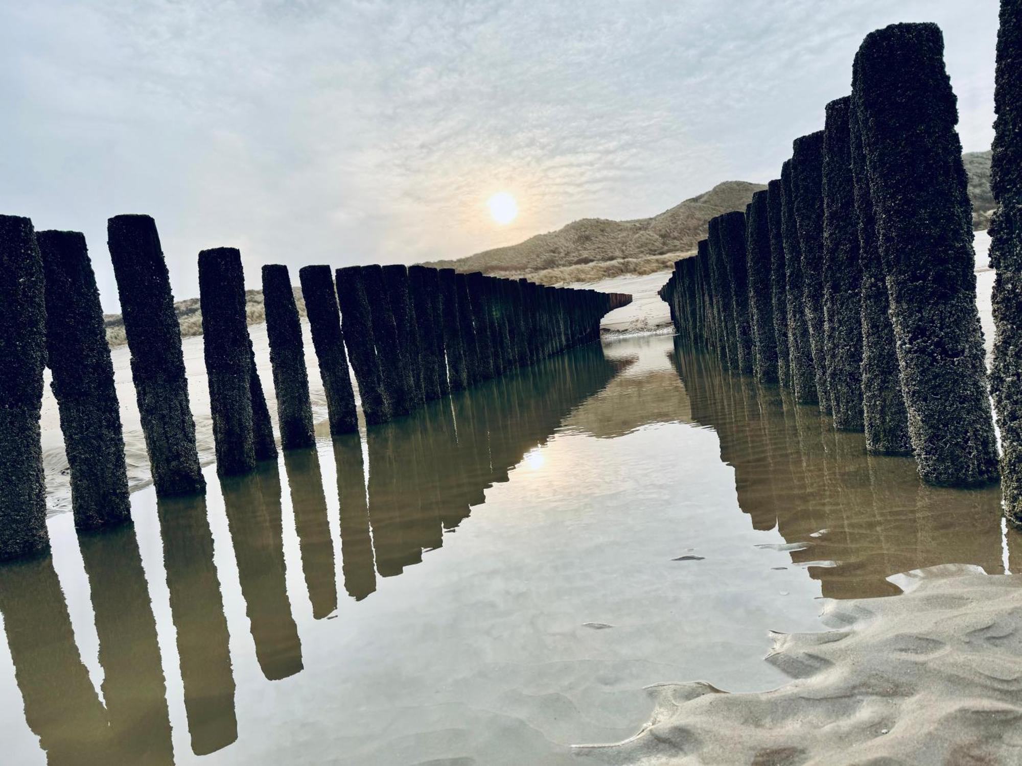 Beach & Forest Retreat -Domburg- 东卡佩勒 外观 照片