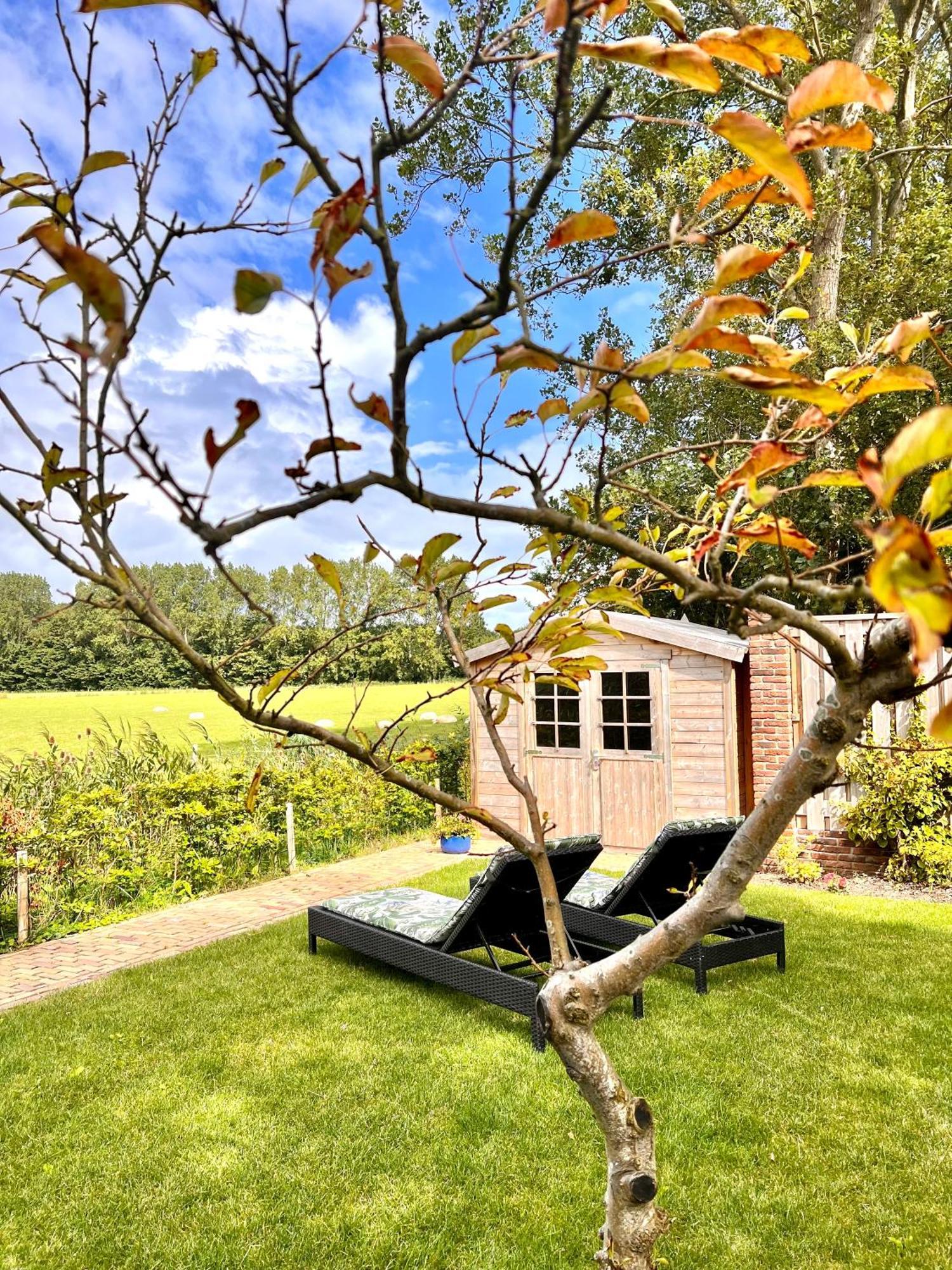 Beach & Forest Retreat -Domburg- 东卡佩勒 外观 照片