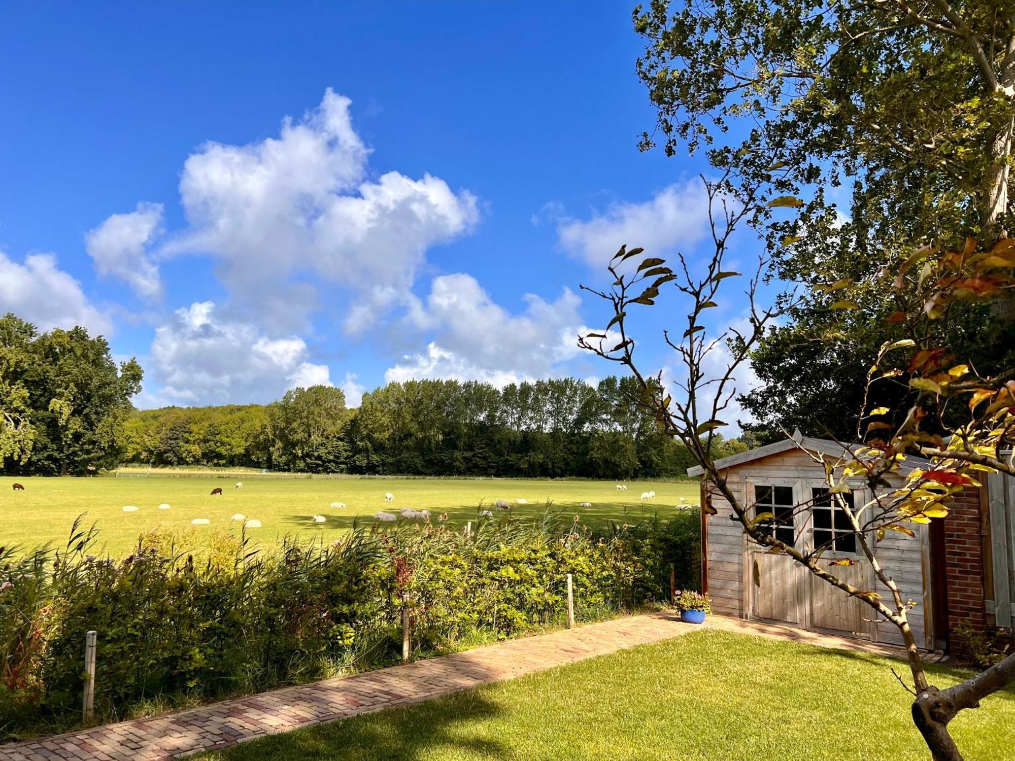 Beach & Forest Retreat -Domburg- 东卡佩勒 外观 照片
