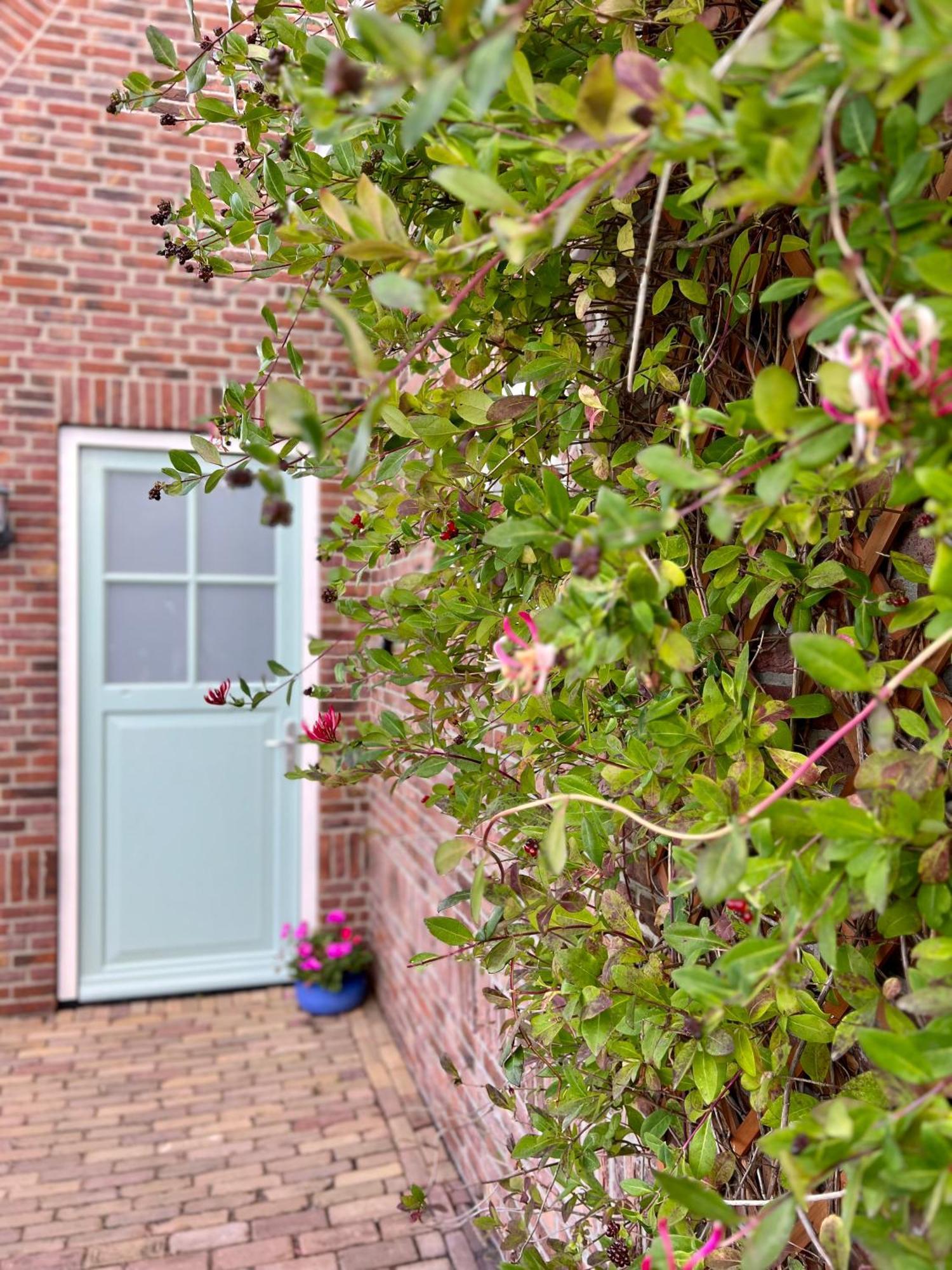 Beach & Forest Retreat -Domburg- 东卡佩勒 外观 照片
